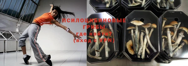 не бодяженный Кукмор