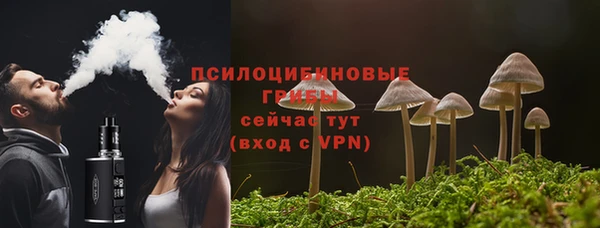 mdpv Краснослободск