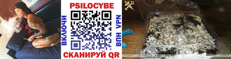 Псилоцибиновые грибы мицелий  Сунжа 