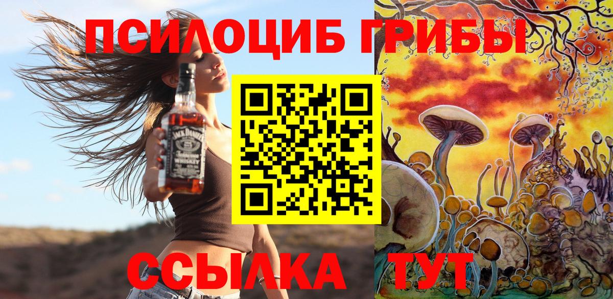 Псилоцибиновые грибы мицелий  Вход с VPN  Сунжа 