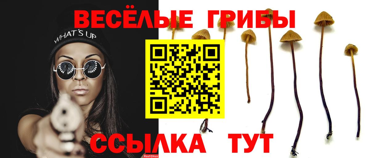 Псилоцибиновые грибы Psilocybine cubensis Сунжа