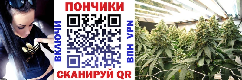 где купить наркоту  Сунжа  Бошки марихуана ГИДРОПОН 